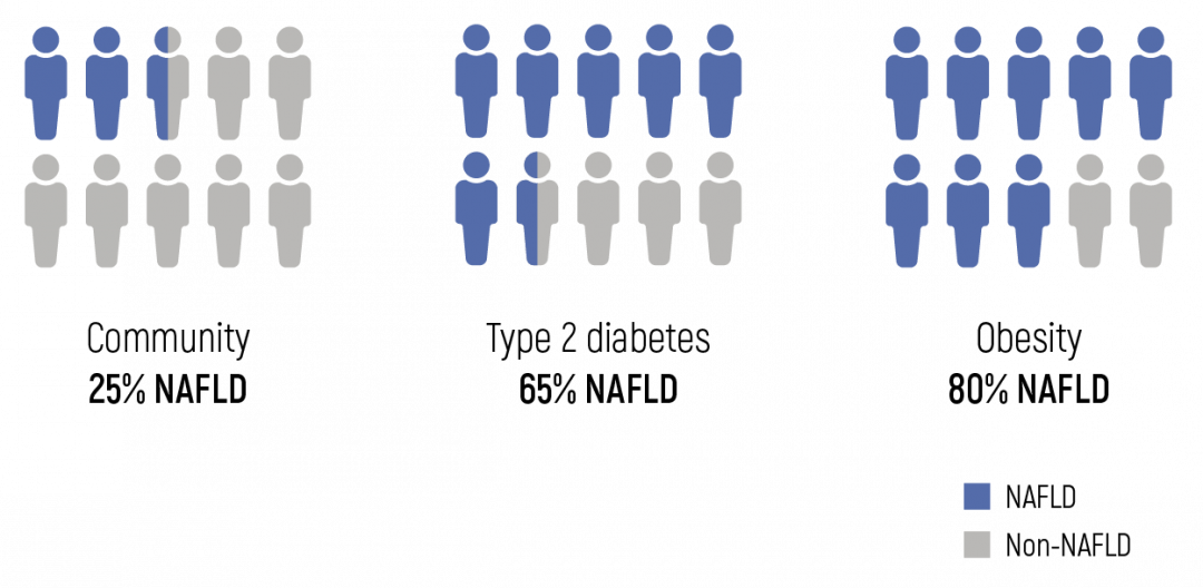 Hepastrong AMINO protects liver from fat accumulation. Ornithine cleans liver from toxic ammonia. Lowers ALT, AST. Prevents inflammation.